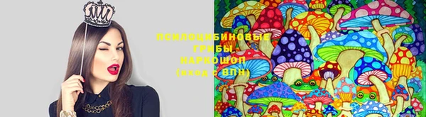 мефедрон мука Вяземский
