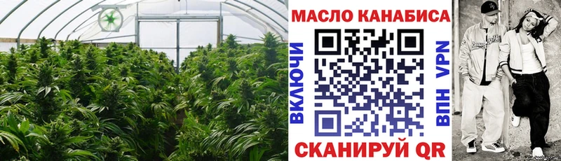 ТГК вейп с тгк  omg вход  Дагестанские Огни  дарнет шоп 