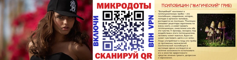 omg рабочий сайт  Дагестанские Огни  Псилоцибиновые грибы Psilocybine cubensis 
